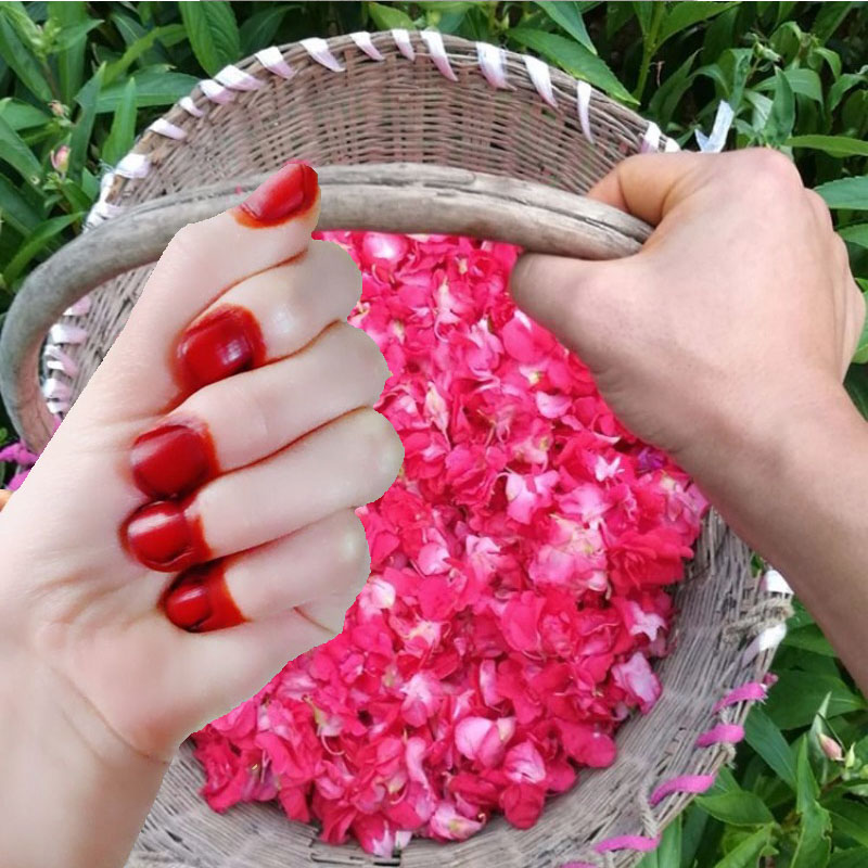 Nail Art For Men - 40g Tintura per unghie all'henné in